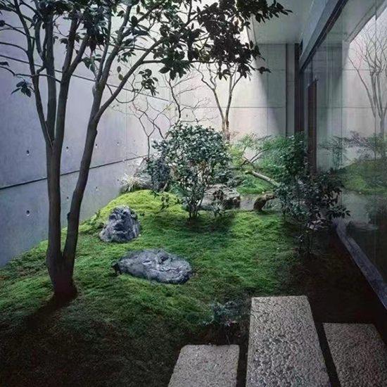 露台植物造景